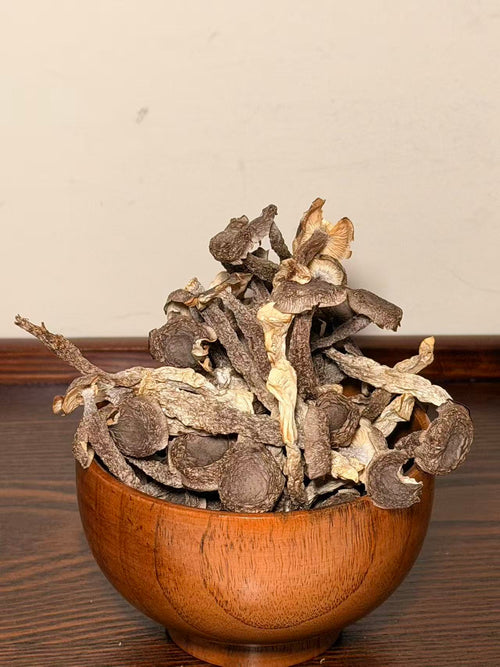 Dried Mushroom