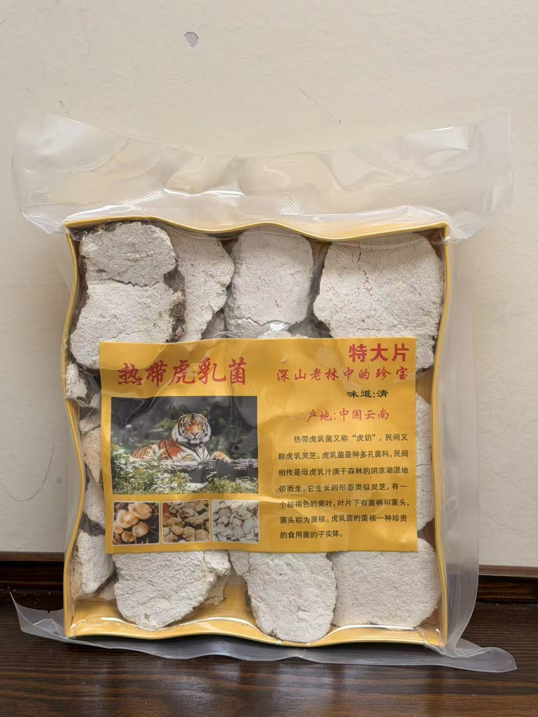 热带虎乳菌